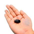 512C201sRQL._SL1100_